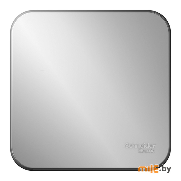 Переключатель Schneider Electric Blanca BLNVA106013 (серебро)