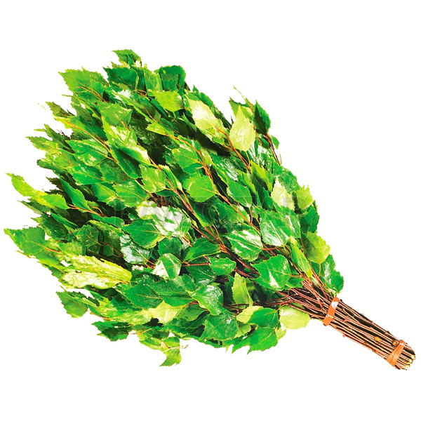 Веник банный (берёза)