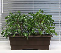 Кашпо Gardenplast №2