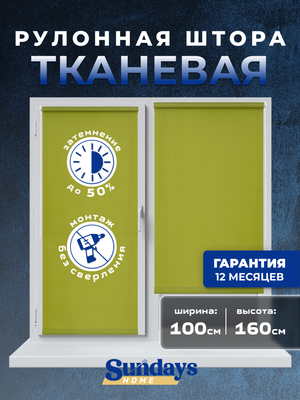 Рулонная штора Sundays Home LM 130-04 100x160
