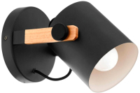 Спот Eglo Hornwood 43046
