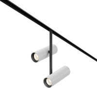 Трековый светильник Maytoni Elti Duo TR005-2-2X12W3K-BW