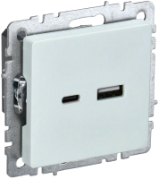 Розетка IEK Brite BR-U22-018-K36