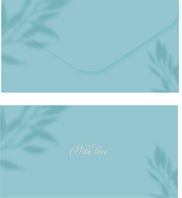 Конверт для денег Meshu Aquamarine / MS_55121