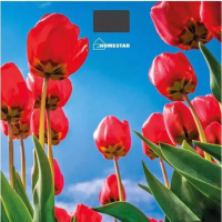 Напольные весы электронные HomeStar HS-6001I / 005187