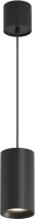 Люстра Maytoni Pendant P100PL-20W3K-B