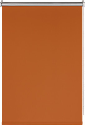 Рулонная штора Franc Gardiner Blackout Silver 75x160 / 9403219775