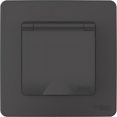 Розетка Systeme (Schneider) Electric Blanca BLNRS441116
