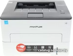 Принтер Pantum P3010D