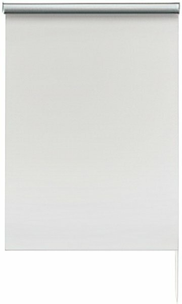 Рулонные шторы Эскар Вlackout 52х170 814650521601 (белый)