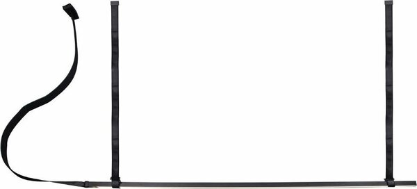 Kinklight Элара 08461-150.19 (черный)