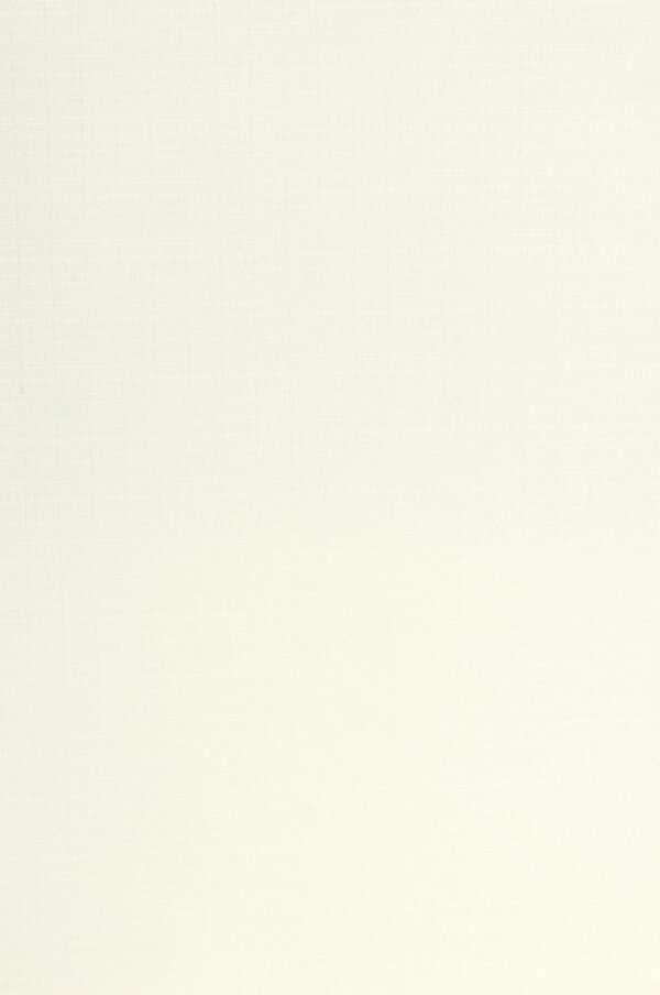 Рулонные шторы Lm Decor Лайт LM 30-02C 130x170