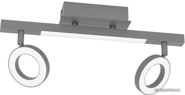 Спот Eglo Cardillio 2 900514