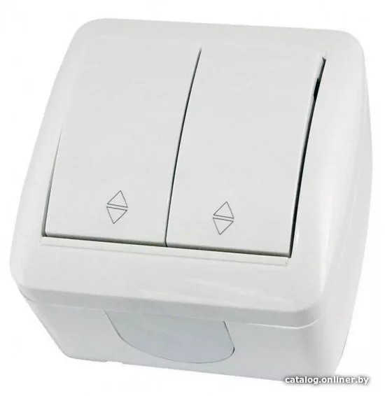 Выключатель проходной TDM Electric Селигер SQ1818-0012