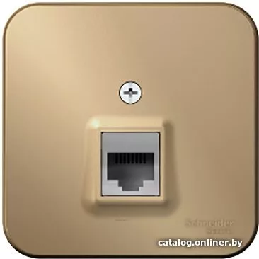 Розетка компьютерная Schneider Electric Blanca BLNIA045004