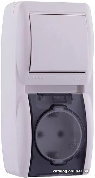 Розетка Lezard Nata 710-0200-172 (белый)