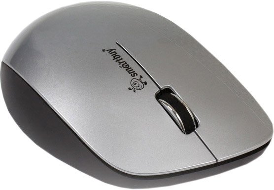 Мышь SmartBuy 309AG Silver/Black (SBM-309AG-SK)