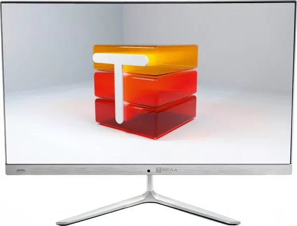 Моноблок ТЕСЛА N24W 2108500