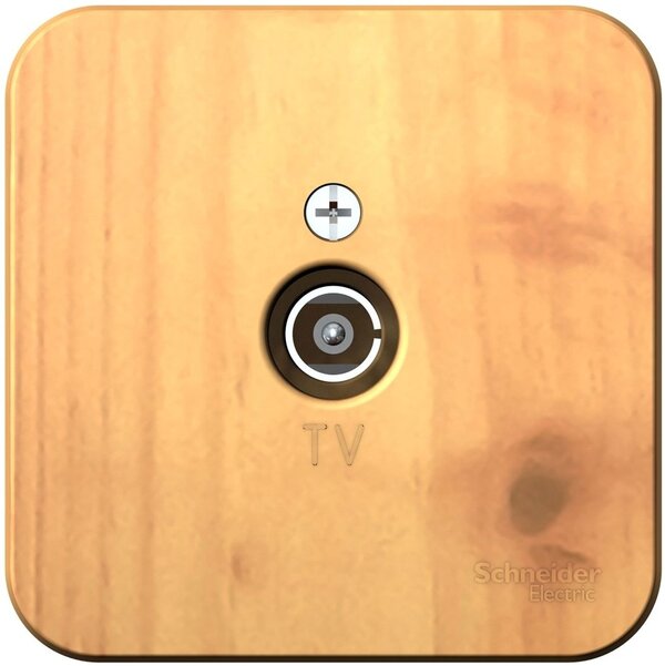 Розетка телевизионная Schneider Electric Blanca BLNTA000015