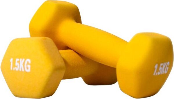 Гантель Protrain DB306-1.5 2x1.5кг (желтый)
