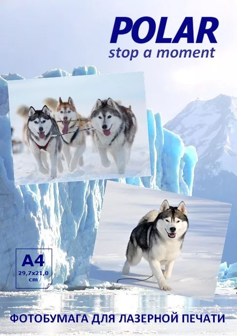 Фотобумага Polar A4L0M10100 матовая A4, 100 г/м2, 100 л