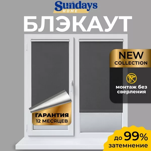 Рулонные шторы Sundays Home LM 167-07 64х215 (темно-серый)