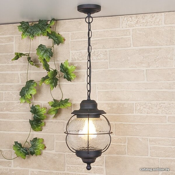 Уличный подвесной светильник Elektrostandard Regul H GLXT-1475H (черна