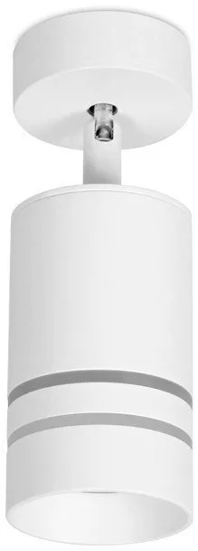 Спот Ambrella light TN245 WH/S