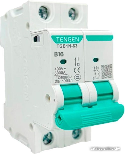 Выключатель автоматический Tengen TGB1N-63 2P 16A B 6kA 2M TGB1N-63-2-