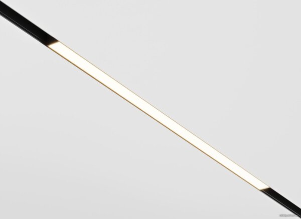 Трековый светильник Maytoni Exility BASIS TR030-2-12W3K-B