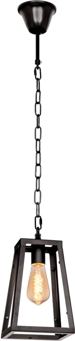 Подвесная люстра LOFT IT Modern Filament LOFT1127