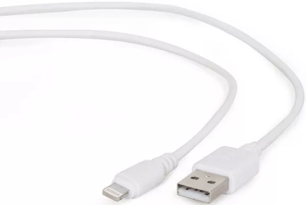 Кабель Cablexpert CC-USB2-AMLM-W-10