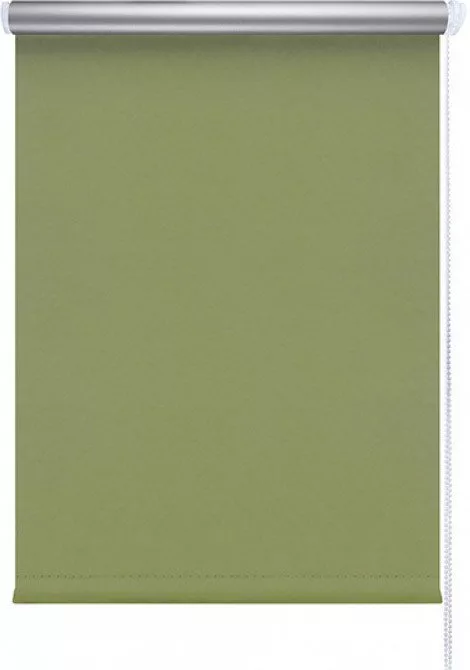 Рулонные шторы Legrand Блэкаут Сильвер 120x175 (зеленый)
