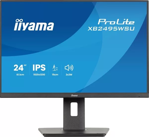 Монитор iiyama ProLite XB2495WSU-B1