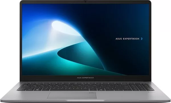 Ноутбук ASUS ExpertBook P1 P1503CVA-i38256G0D