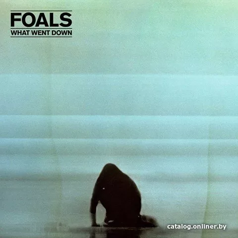 Виниловая пластинка Foals - What Went Down