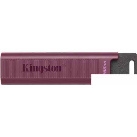 USB Flash Kingston DataTraveler Max Type-A 256GB