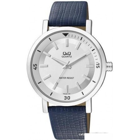 Наручные часы Q&Q Q892J301