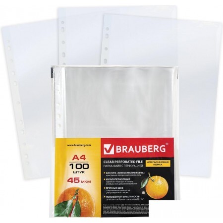 Набор файлов BRAUBERG 221713 (100 шт)