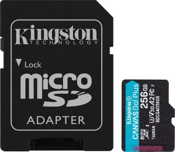 Карта памяти Kingston Canvas Go! microSDXC 256GB SDCG4/256GB (с адапте