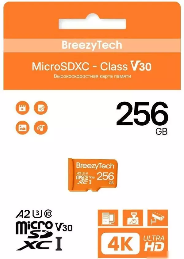 Карта памяти BreezyTech Ultra microSDXC Class 10/A2/V30 256GB (без ада